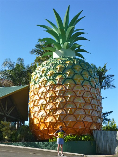 pineapple